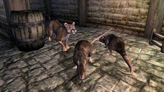 An image of the rats in The Elder Scrolls IV: Oblivion