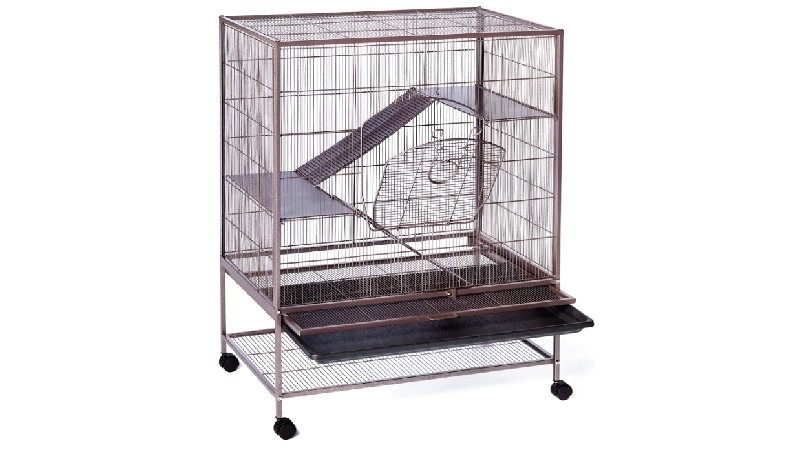A two tier cage on wheels, with a mesh hanging wall and ramps connecting the levels.