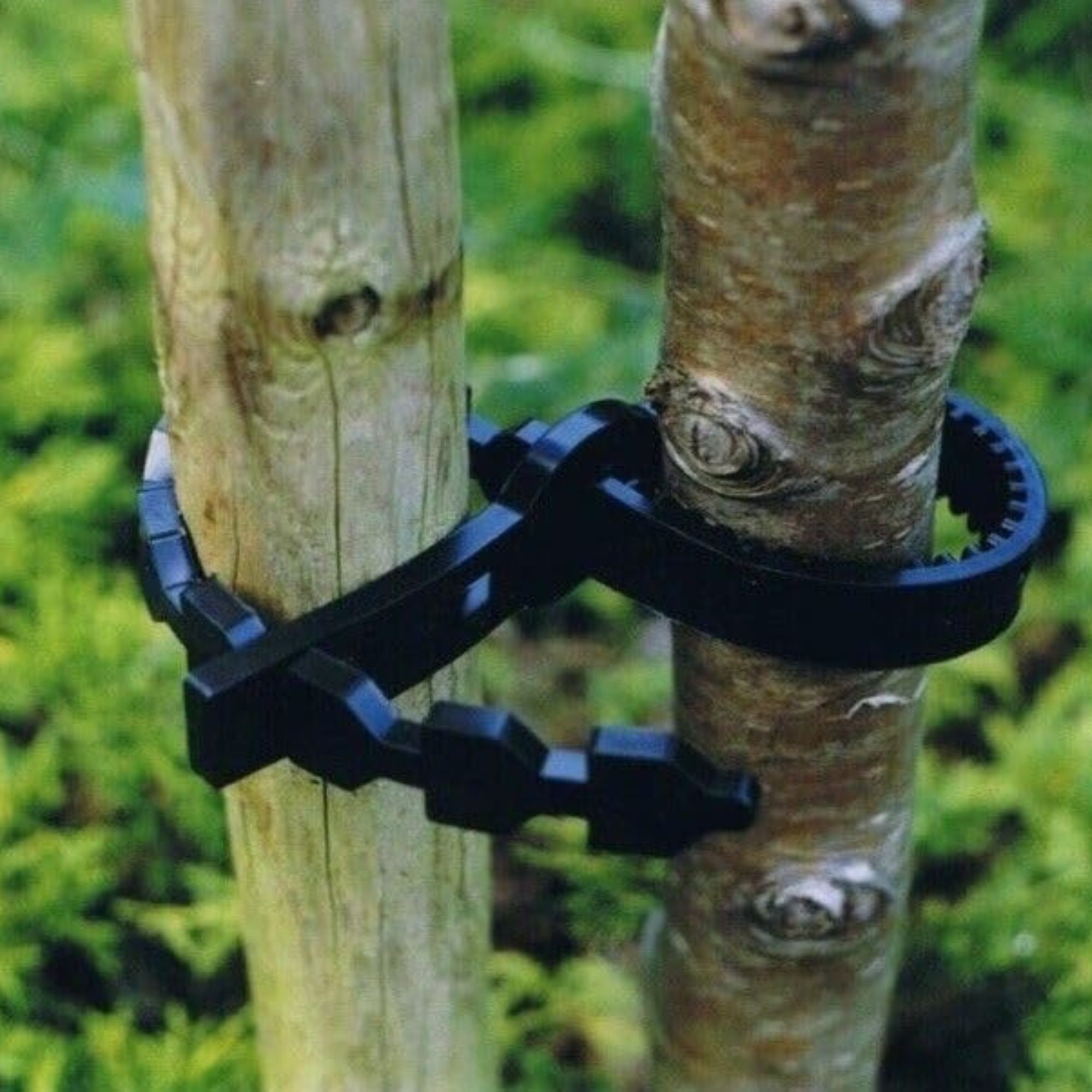 Amazon tree support straps