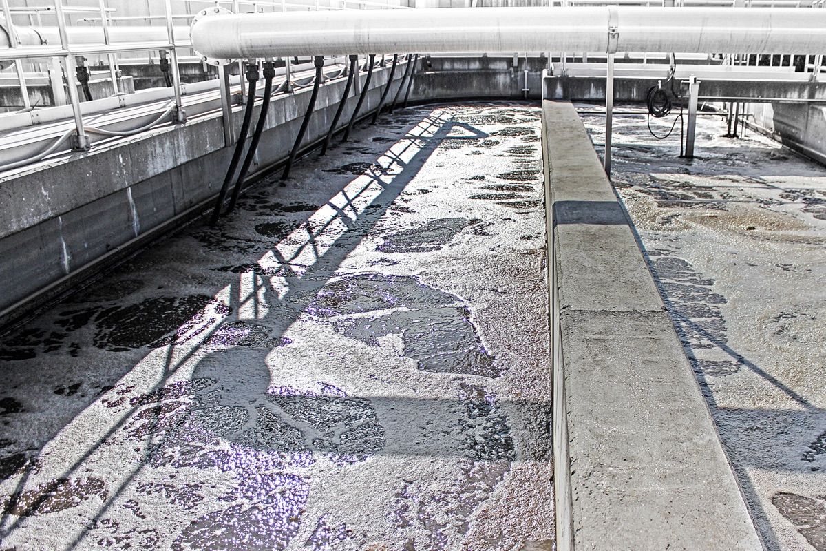 The Klosneuvirus was discovered here, at this wastewater treatment plant in Klosterneuburg, Austria.