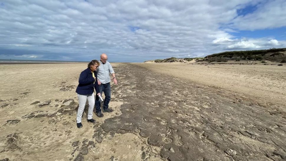 A man and woman inspect ancient human and animal footprints on a beach.