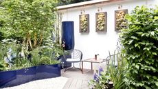 Patio with blue planters, white wall with greenery