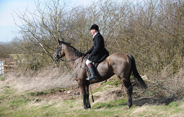 Belvoir Hunt 07.03.15
