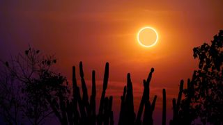 An annular solar eclipse showing a ring of orange in a hazy orange sky with cacti in the foreground. 