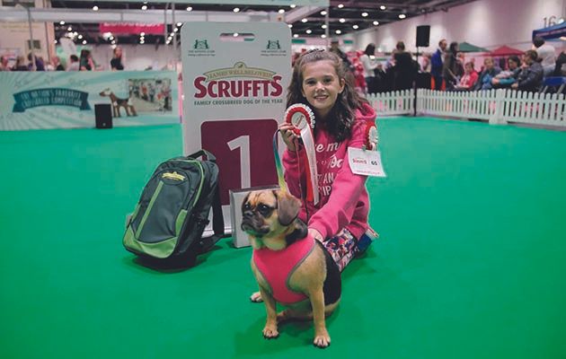 Away from the world of the perfect pedigree pooches of Crufts is Scruffts, a competition that celebrates the everyday family pets we love...