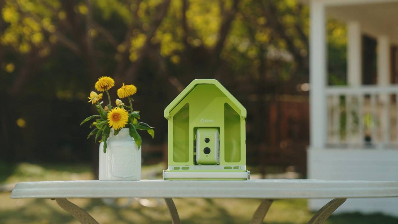 Birdfy Feeder Metal