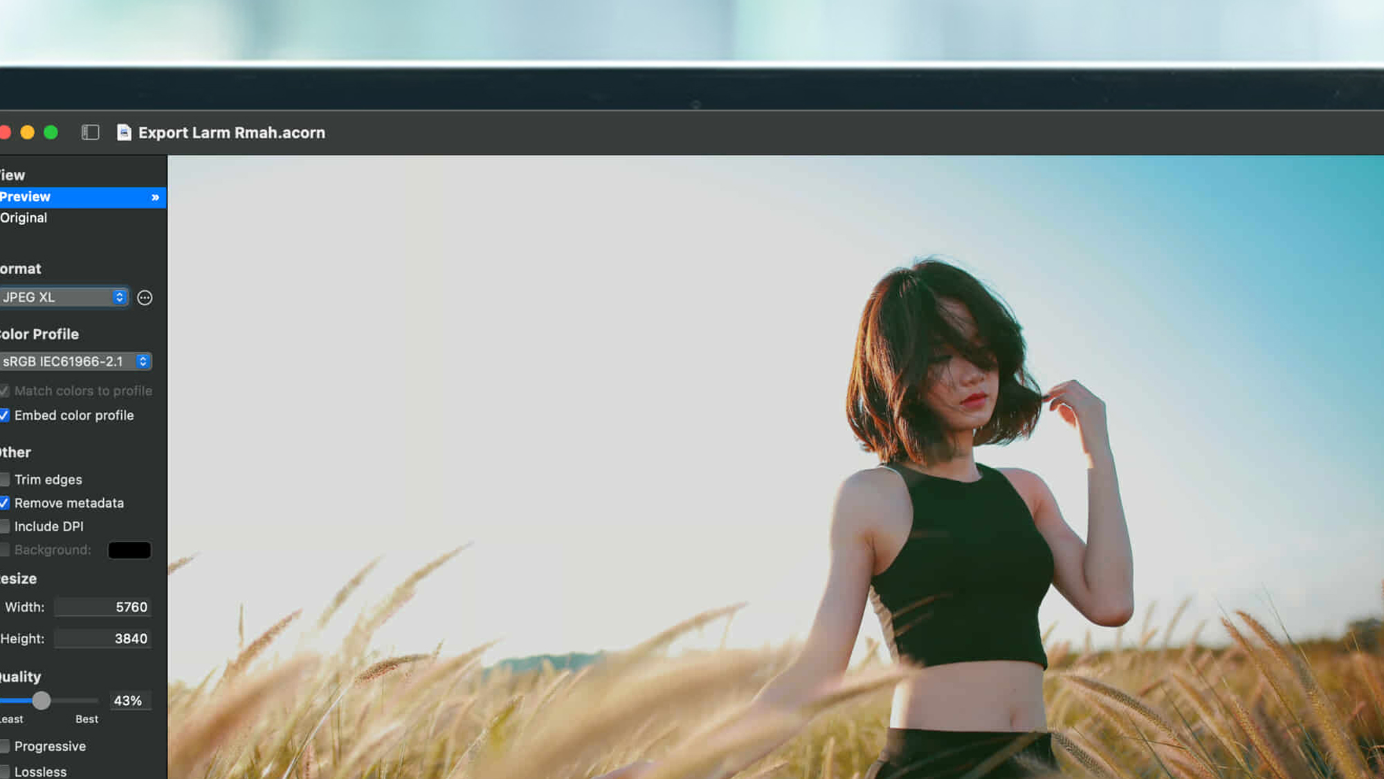 A laptop screen showing the Acorn 8 app