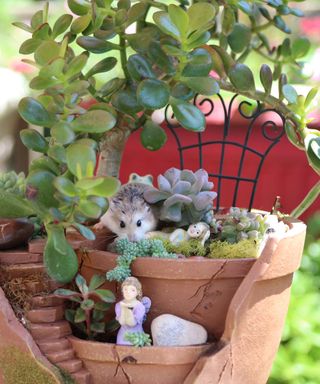 succulents in terracotta fairy garden pot