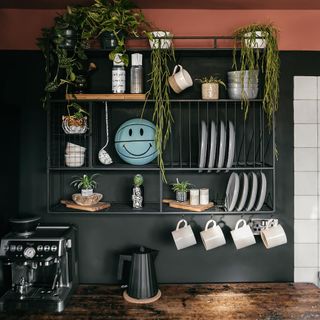 kitchen with shelves and dramatic black wall with plates and cups