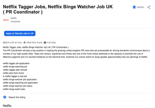 Netflix job