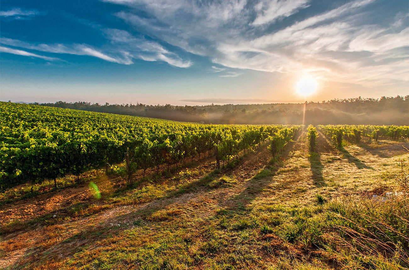Los Cerros de San Juan
