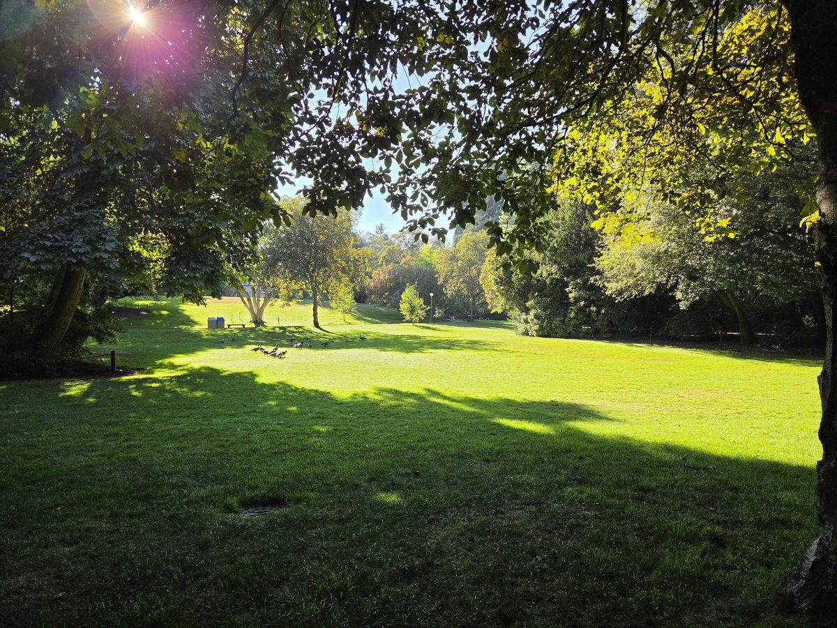 A grassy field