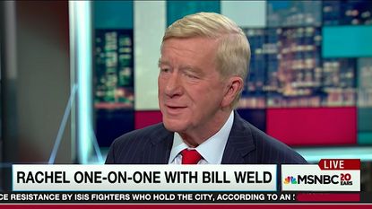 Bill Weld essentially endorses Hillary Clinton