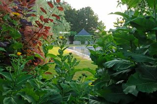 The garden at Banks Fee, Gloucestershire