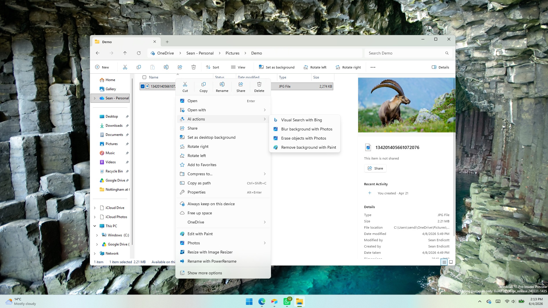 A Windows File Explorer window is open on the &ldquo;Demo&rdquo; folder, showing an image of an ibex on the right preview pane. The context menu displays options like Open, Set as desktop background, and Print.