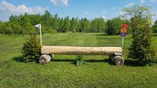 70cm-fence-1.jpg