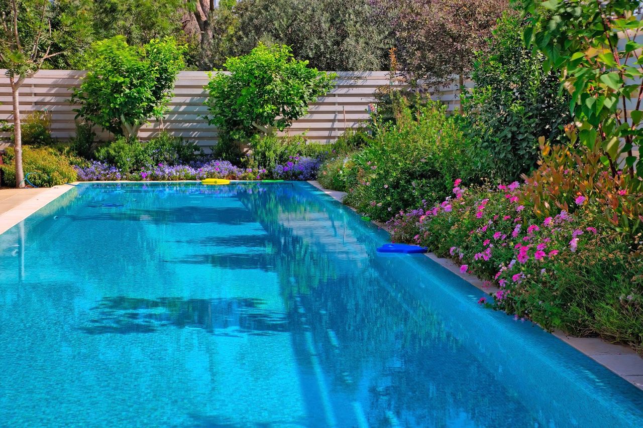 Plants And Flowers Surrounding A Pool