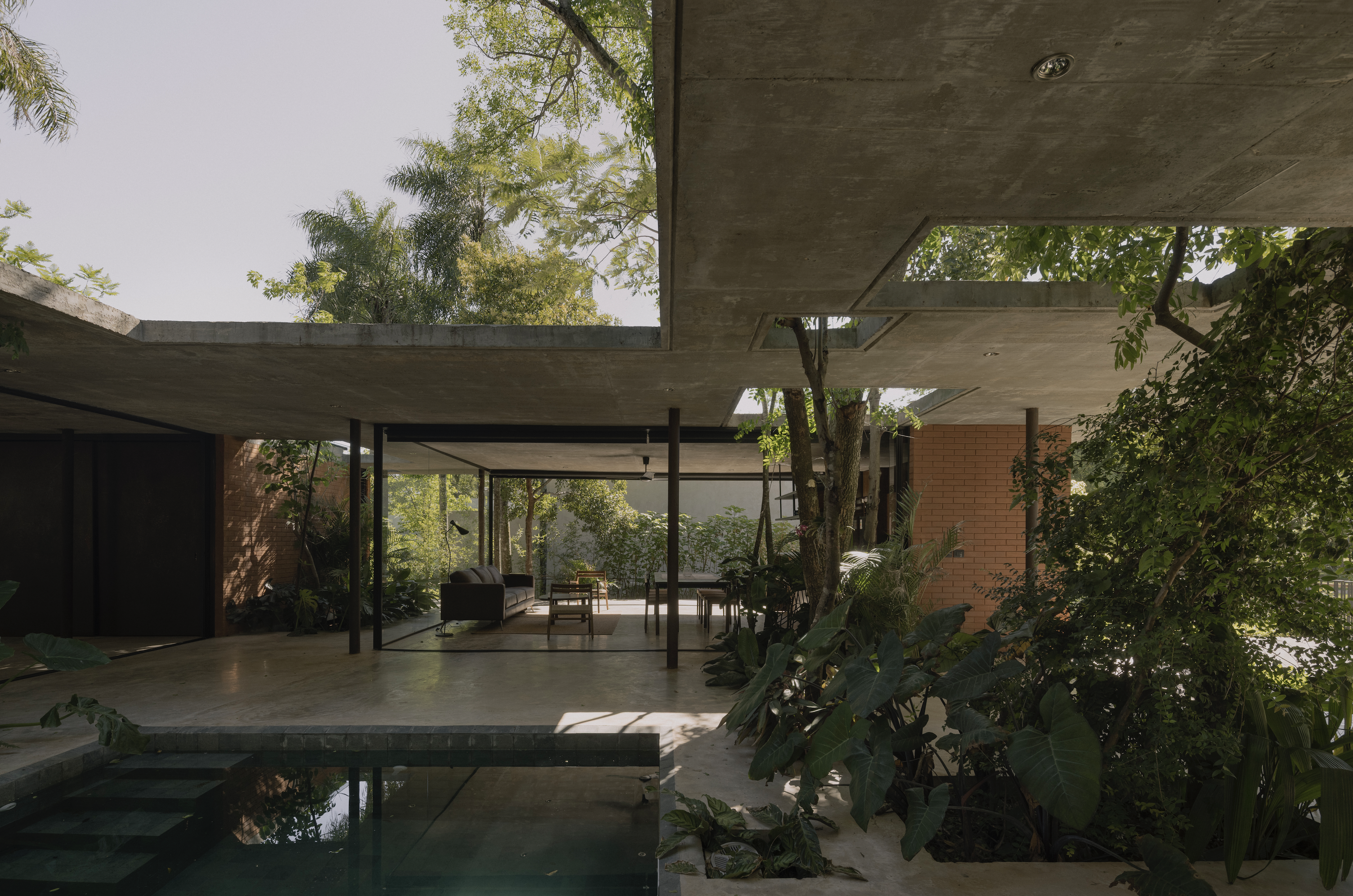A Forest in the House, Paraguay, by Equipo de Arquitectura