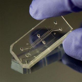 The Wyss Institute's 'Human Organs-on-Chips' for Harvard University.