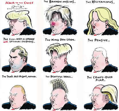 Political Cartoon U.S. Trump Hair Trump Administration Scandal
