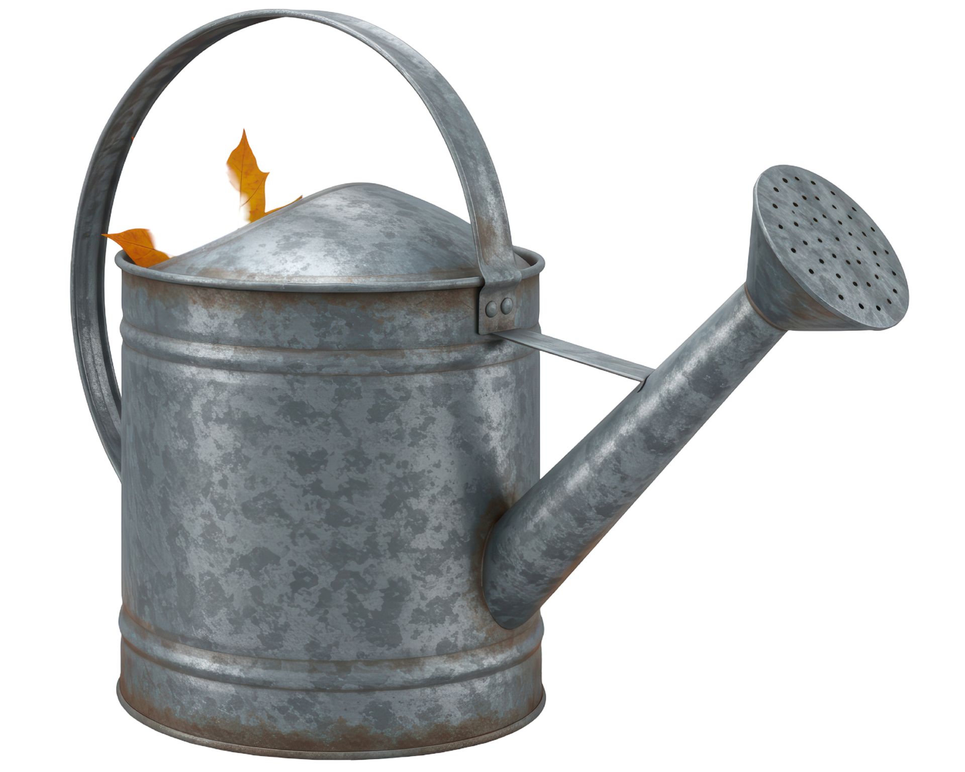 Isolated Weathered Metal Watering Can with Autumn Leaf