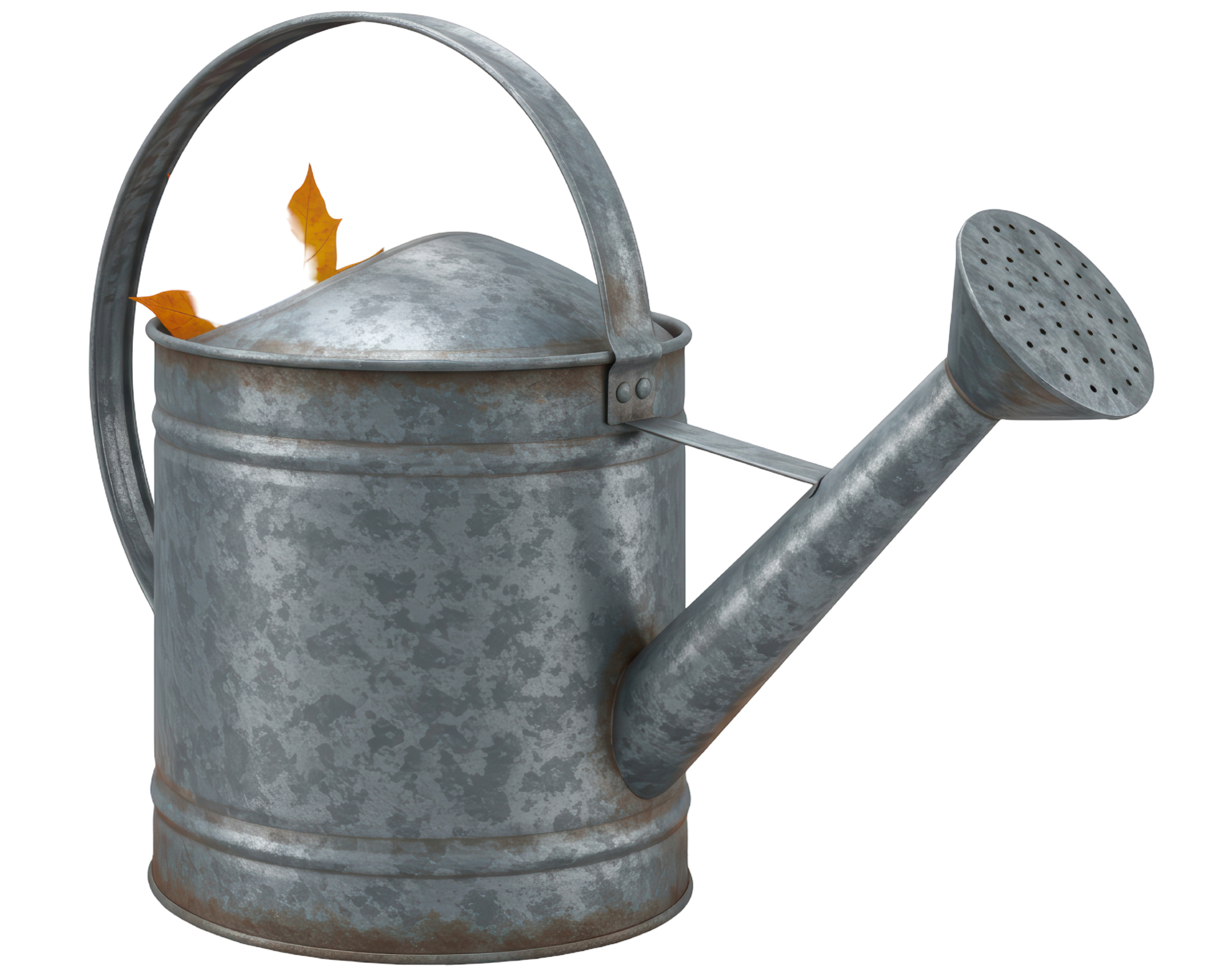 Isolated Weathered Metal Watering Can with Autumn Leaf