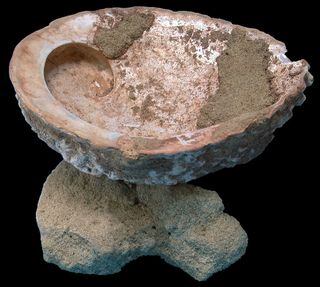 An abalone shell used as a 100,000-year-old mixing bowl
