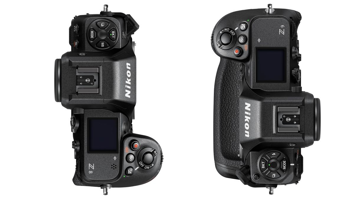 Nikon Z8 vs Z9 getting to grip with the big differences Digital