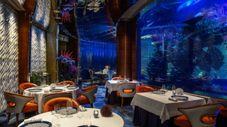 Inside shot of the L'Olivo at Al Mahara restaurant in Jumeirah Burj Al Arab, with internal ceiling-high fish tank