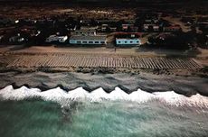 Bah&iacute;a Bustamante vineyard