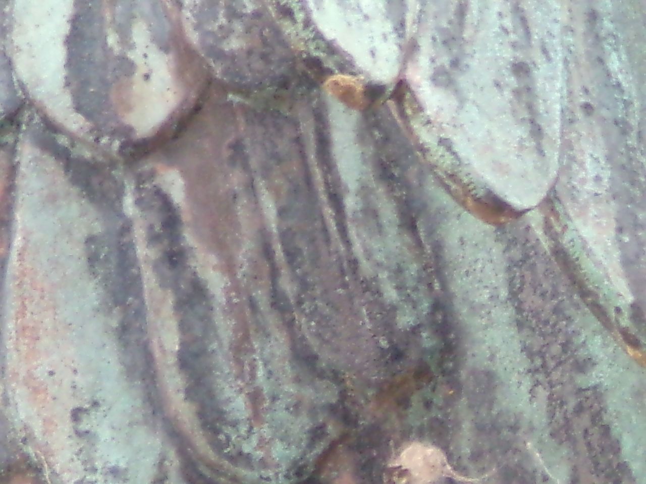 Close up of a statue of a wing