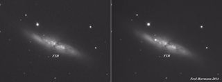 These before and after shots of the Cigar Galaxy (M82) by amateur astronomer Fred Hermann illustrate the dramatic emergence of a new supernova. The image at left was captured on Nov. 28, 2013. The image at right was snapped on Jan. 22, 2014.
