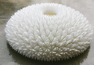 Chrysanthemum