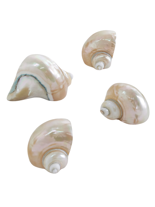 Mother-Of-Pearl Napkin Rings, Set of 4