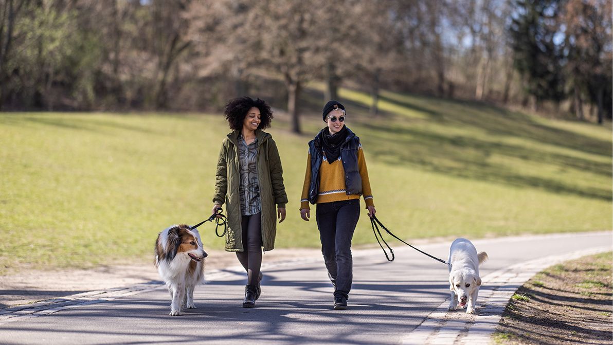 Two women walking on a pathway at a park with their pet dogs