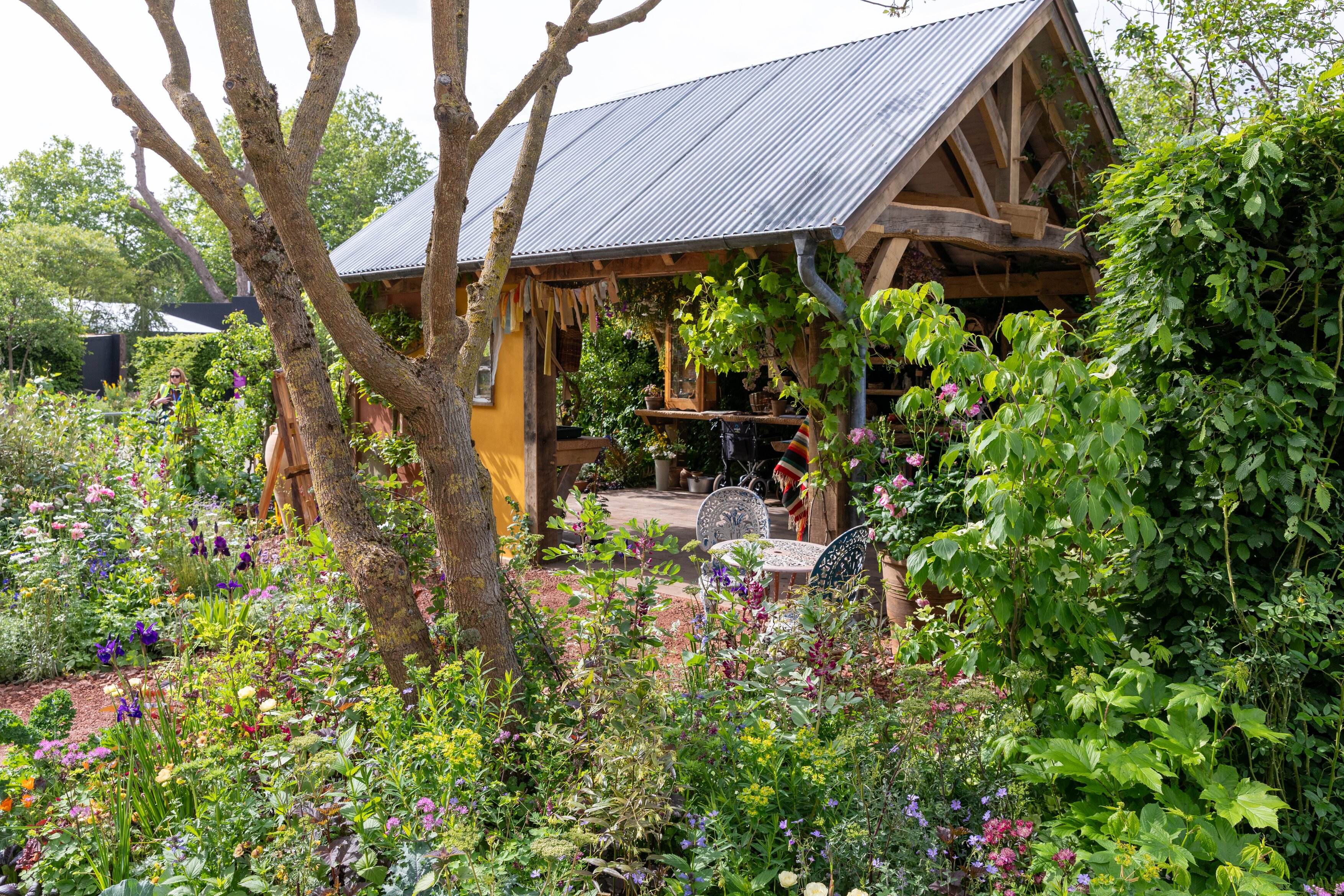 Close up and details of the King's Garden at RHS Chelsea, showing the planting and the central oak structure
