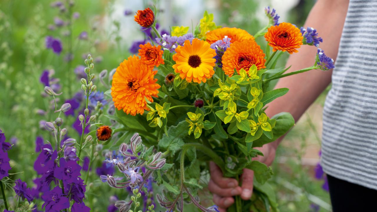 flowers from a cutting garden