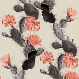 cactus wallpaper