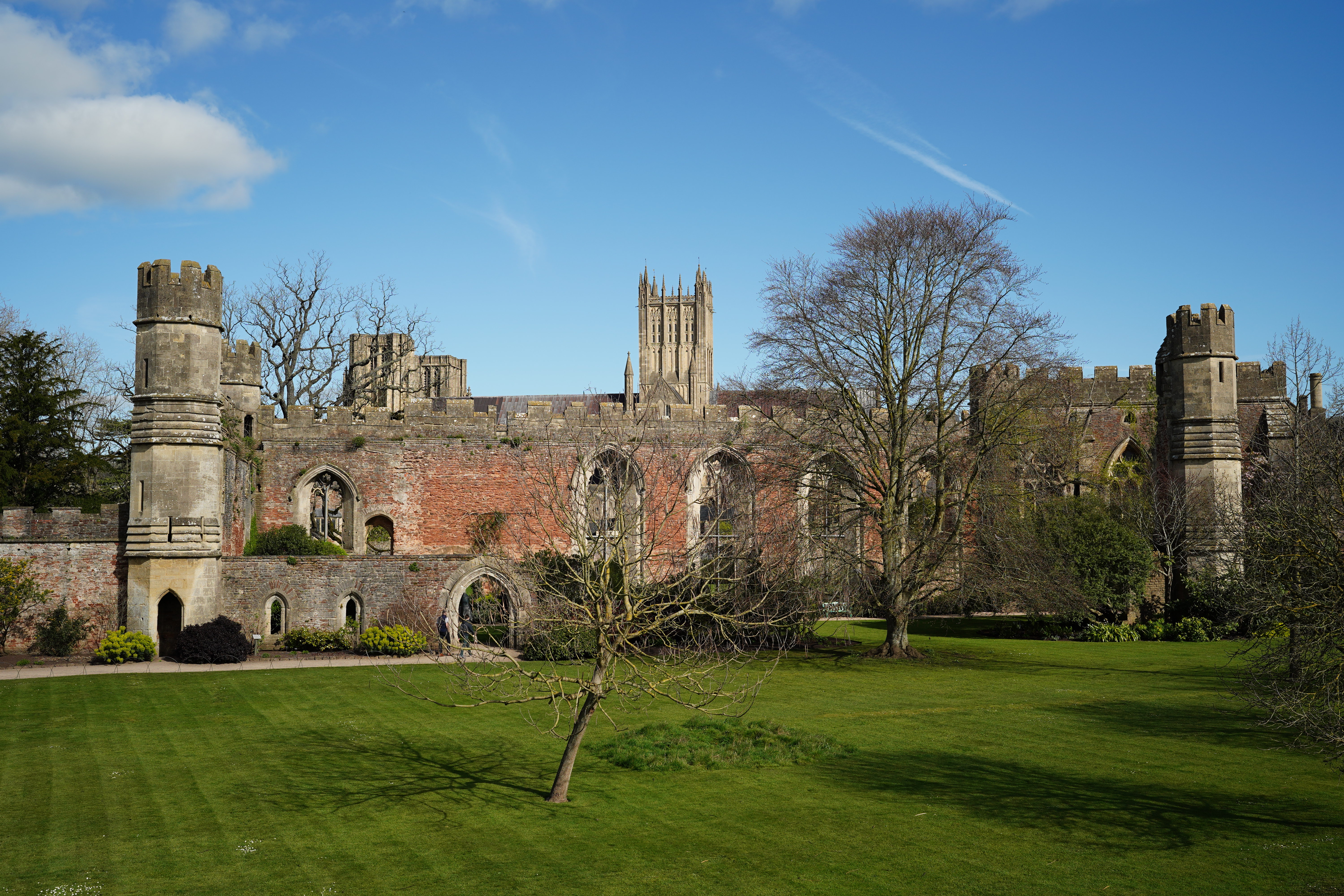 Sigma 35mm f/1.2 DG II Art sample image