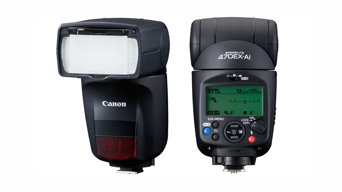 The best flashgun or strobe in 2023 Digital Camera World