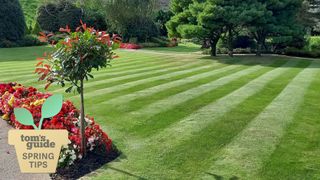 how to get the perfect lawn stripes
