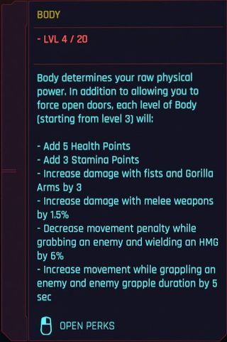 Cyberpunk 2077 Attributes Body Details