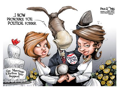 Political cartoon gay marriage midterm election Democrats