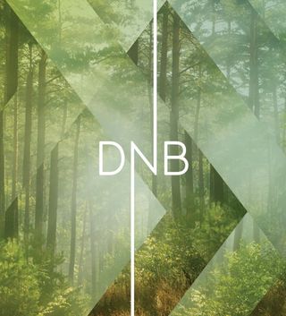 Anti masterminded the full strategy and redesign process for DNB, the Nordic region's biggest financial institution, with 14,000 employees and over 2.3 million customers