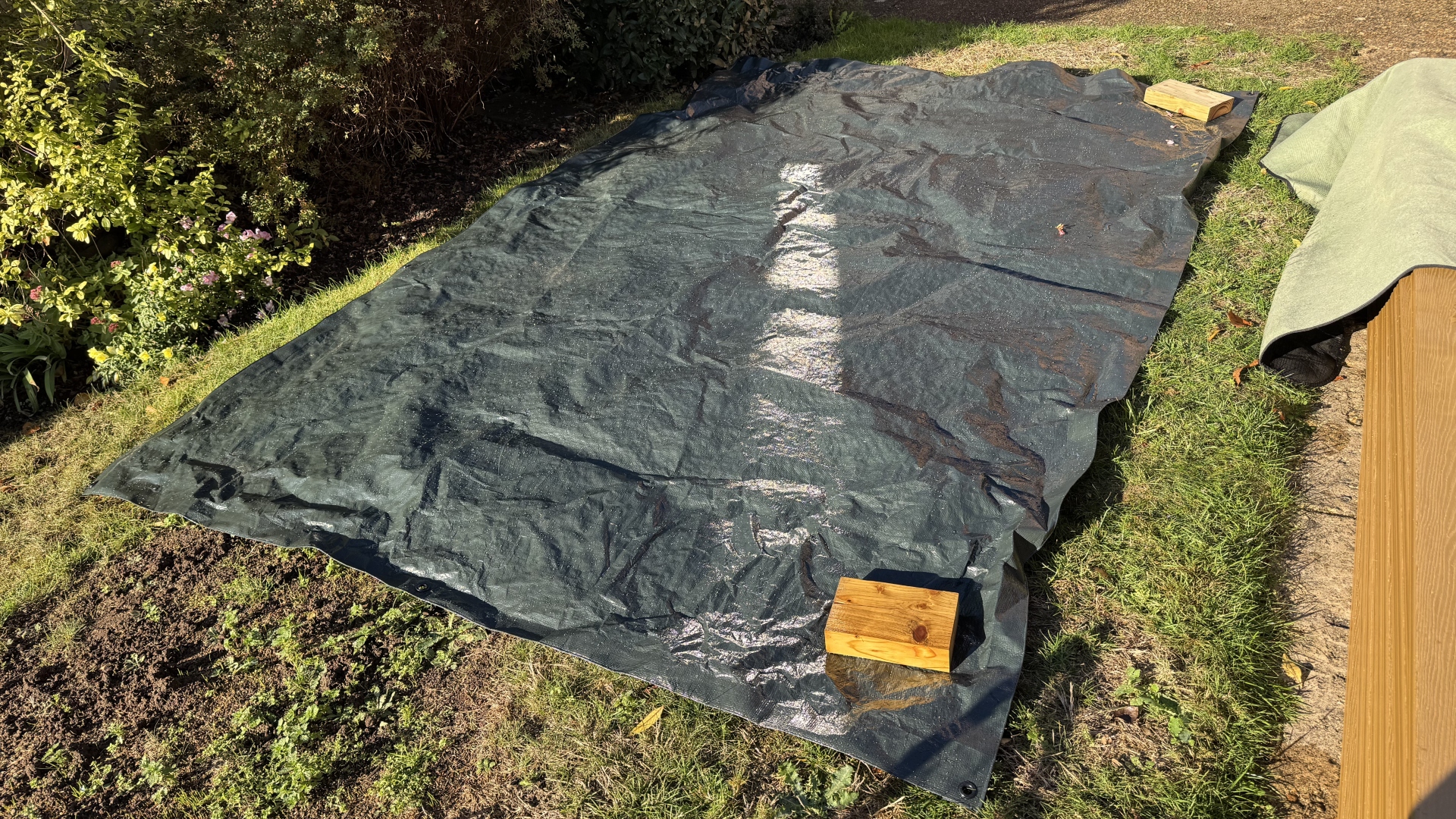 Laying out a tarp on a lawn