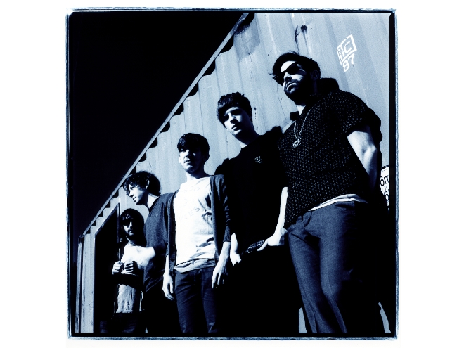 Foals