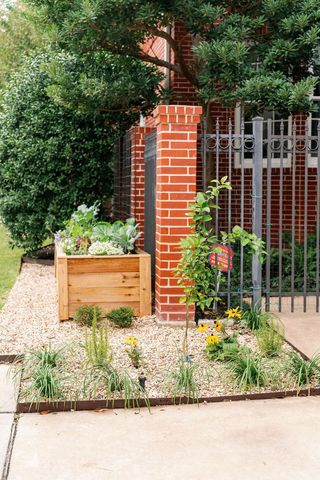 vegetable garden in a front yard