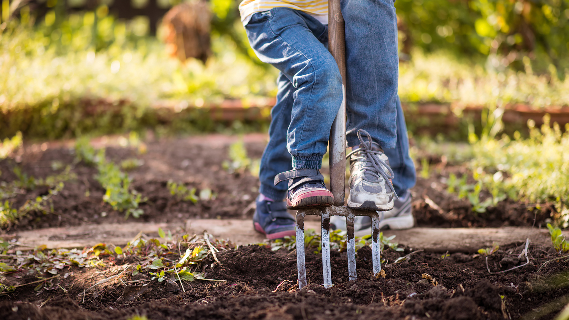 Clear the site from vegetation and debris