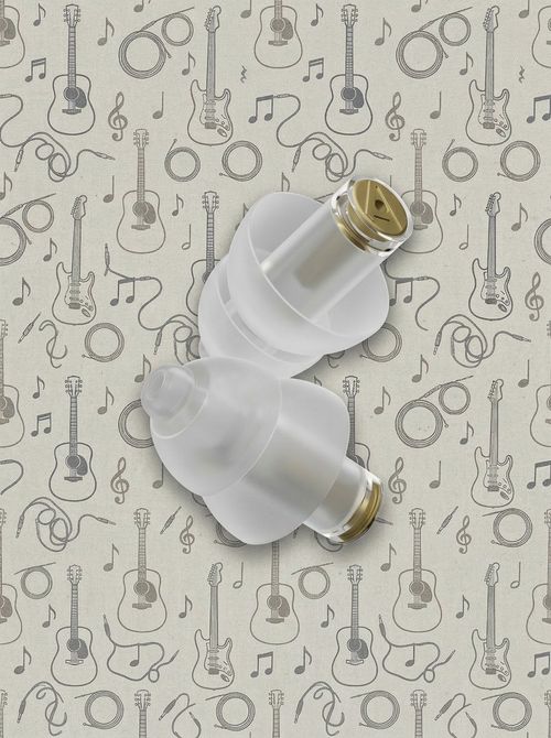 MusicSafe Pro earplugs