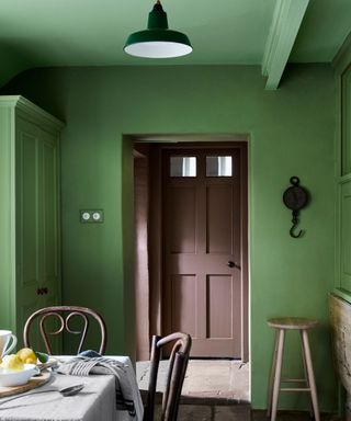 kitchen with green color drenched walls, stone flooring, brown door and farmhouse furniture